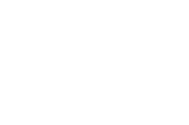 THE POKAL